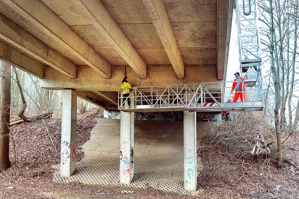 Teufelsspringbrücke